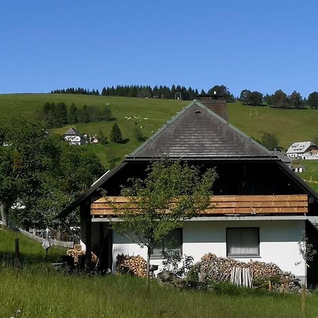 Schwarzwaldhaus Sonnenstrasse, Oberried-Hofsgrund, Dreisamtal Βίλα Oberried  Εξωτερικό φωτογραφία
