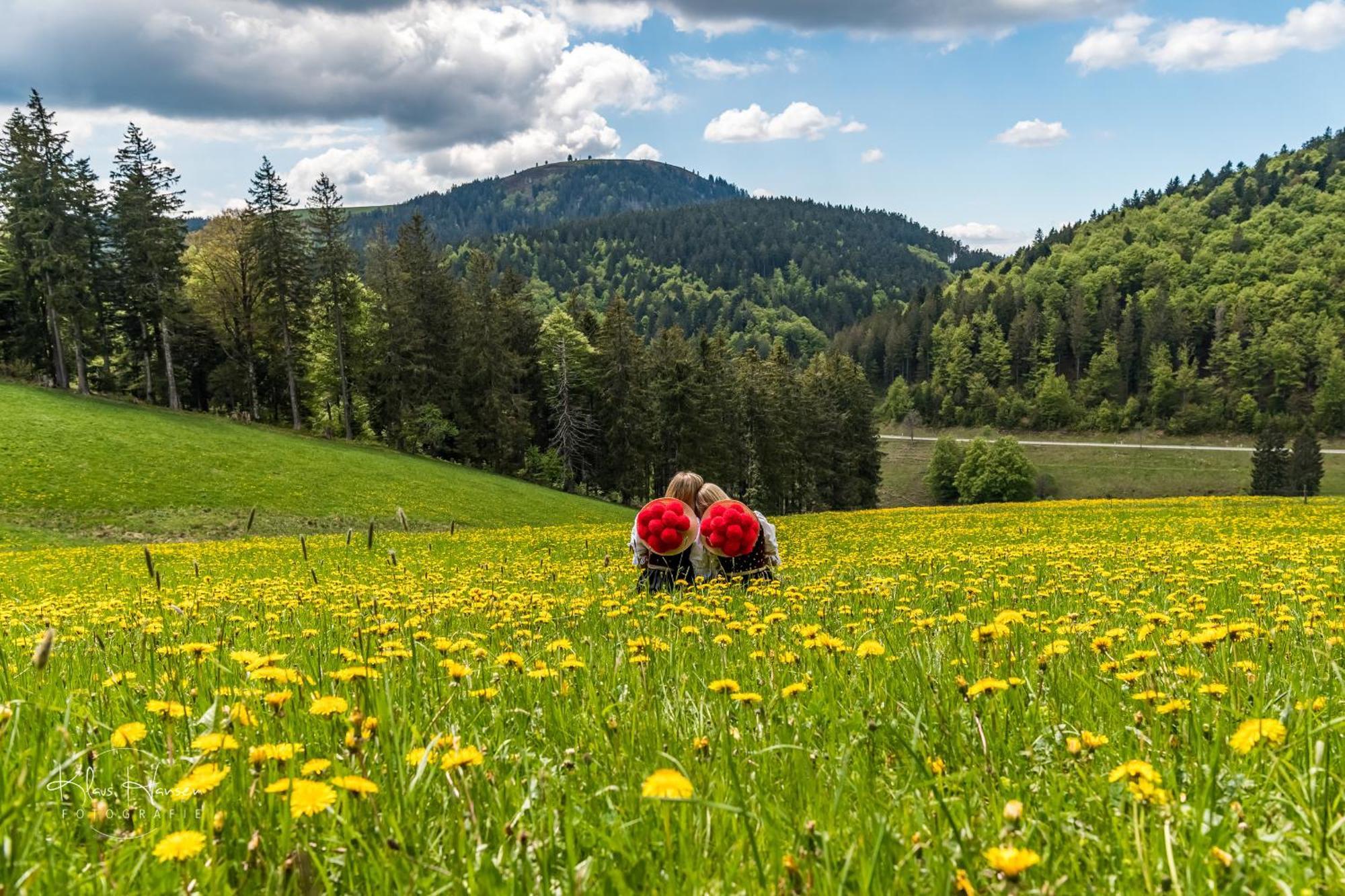 Schwarzwaldhaus Sonnenstrasse, Oberried-Hofsgrund, Dreisamtal Βίλα Oberried  Εξωτερικό φωτογραφία