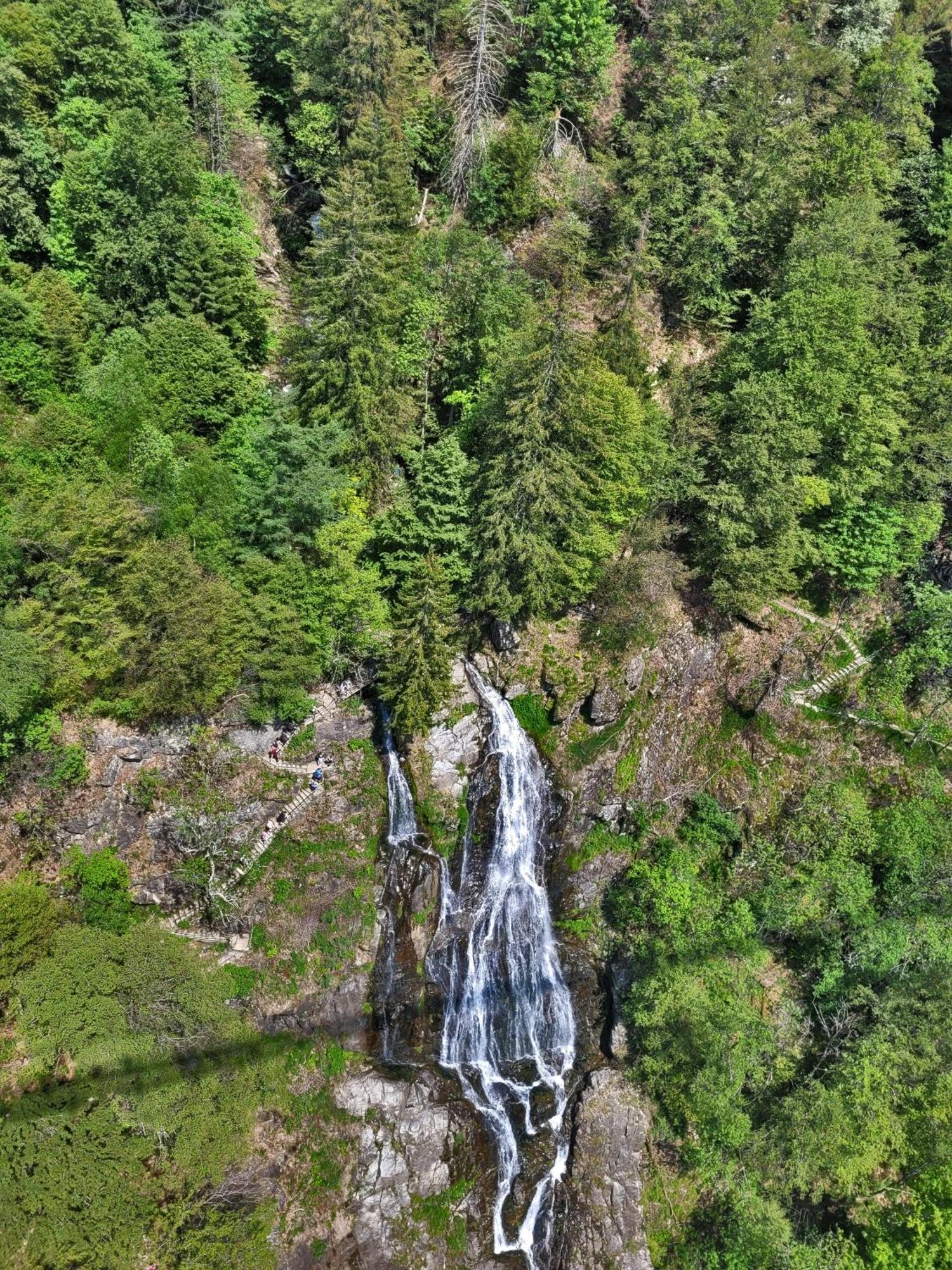 Schwarzwaldhaus Sonnenstrasse, Oberried-Hofsgrund, Dreisamtal Βίλα Oberried  Εξωτερικό φωτογραφία